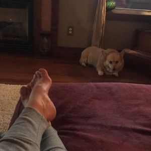 Meet your Posher, Betsy